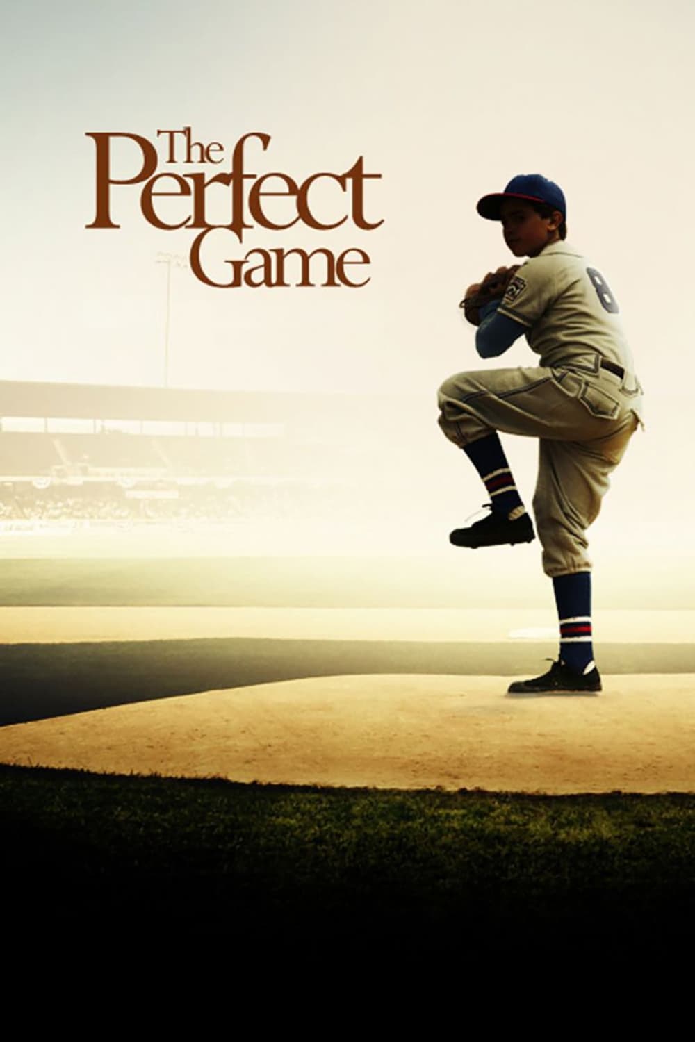 Постер The Perfect Game
